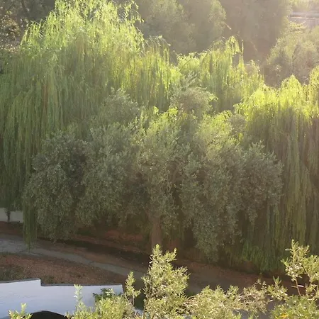 Onirana Appart hôtel Borsh